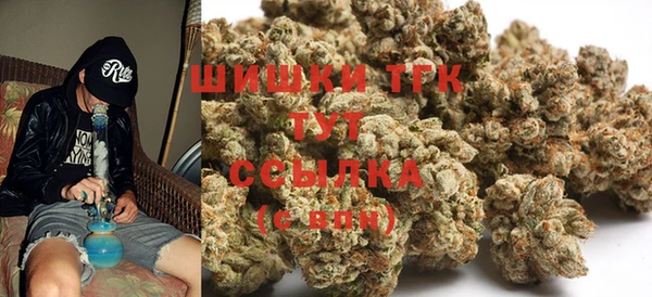 гидропоника Алзамай