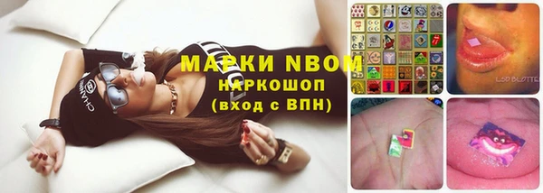 гидропоника Алзамай