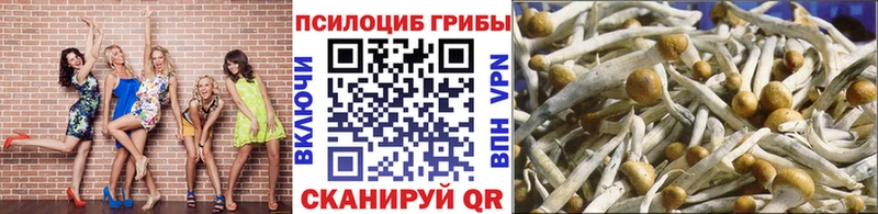 Псилоцибиновые грибы ЛСД  Бодайбо 