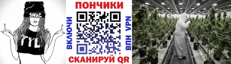 Каннабис MAZAR  Бодайбо 
